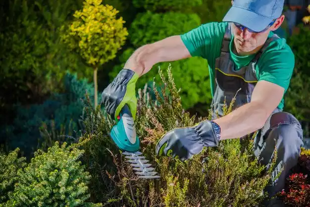 landscaping services Scarsdale